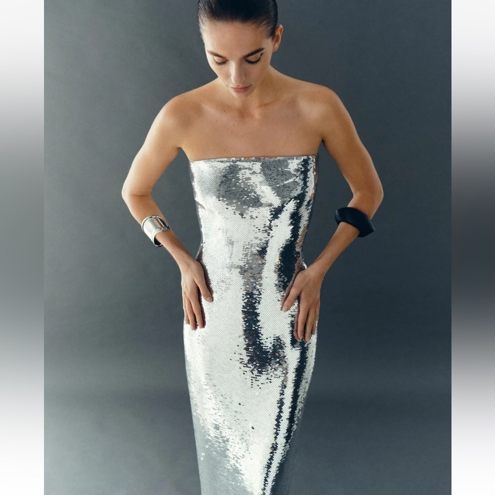 Zara Sequin appliqué Strapless Midi Dress Organza Tulle hem Silver Size XS NWT - Picture 3 of 16